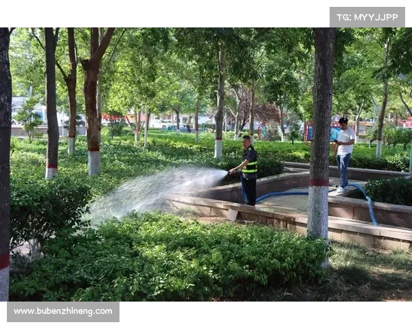 沙漠赛事背后水资源挑战 中卫市创新再生水灌溉助力球场可持续发展